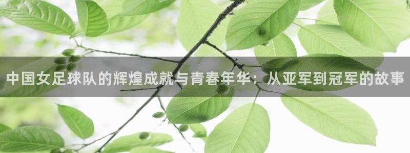 2026世界杯预选赛:中国女足球队的辉煌成就与青春年华:从亚军到冠军的故事