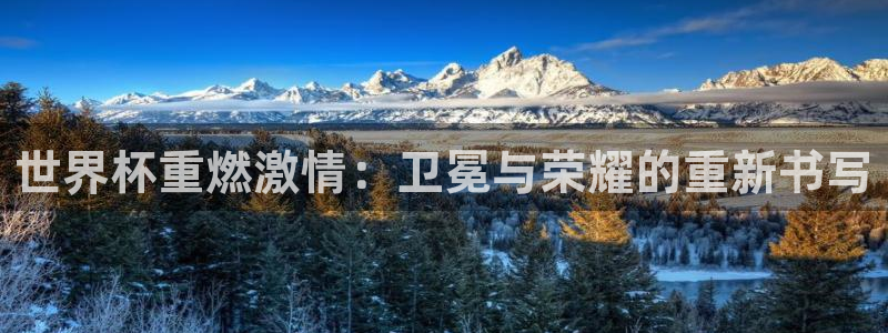 世界杯足球2026:世界杯重燃激情:卫冕与荣耀的重新书写