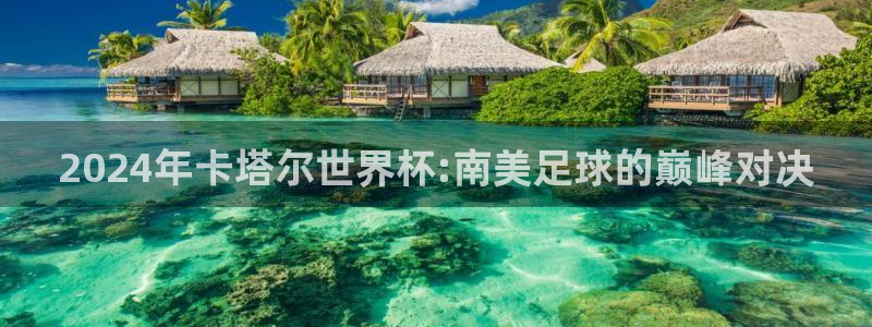 世界杯小组赛赛程:2024年卡塔尔世界杯:南美足球的巅峰对决
