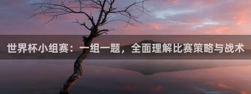 2006年世界杯:世界杯小组赛:一组一题,全面理解比赛策略与战术