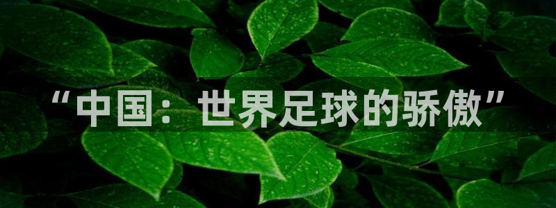 世界杯 赛程:“中国:世界足球的骄傲”