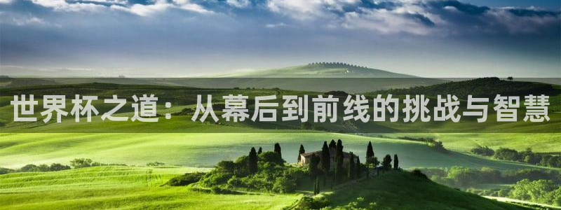 世界杯预选赛欧洲:世界杯之道:从幕后到前线的挑战与智慧