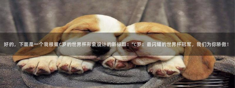 世界杯预选赛赛程:好的,下面是一个我根据C罗的世界杯形象设计的新标题:\